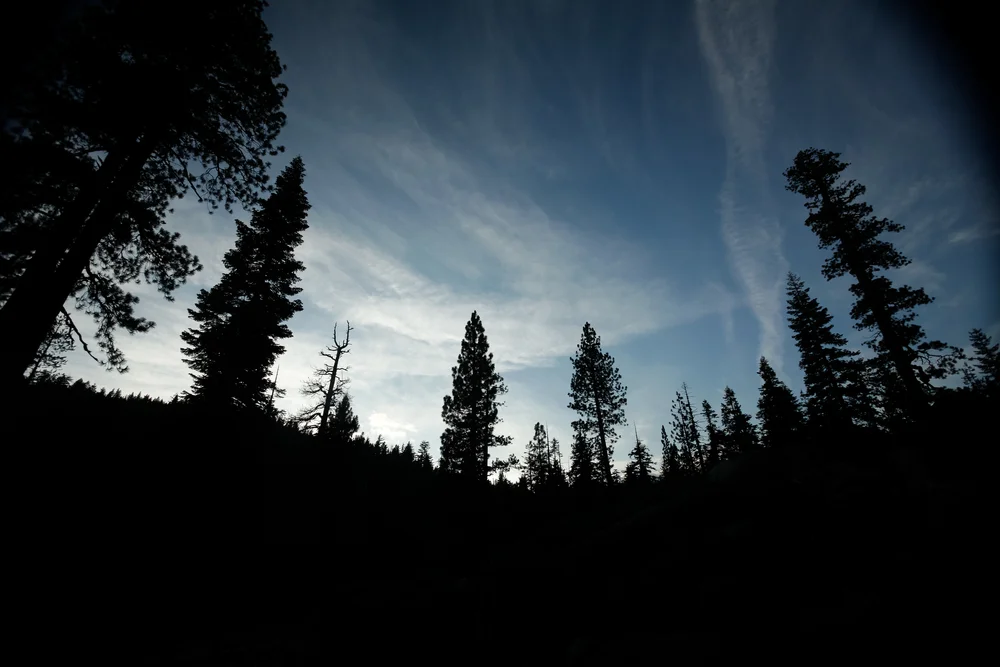 20150711_camp_1708.jpg