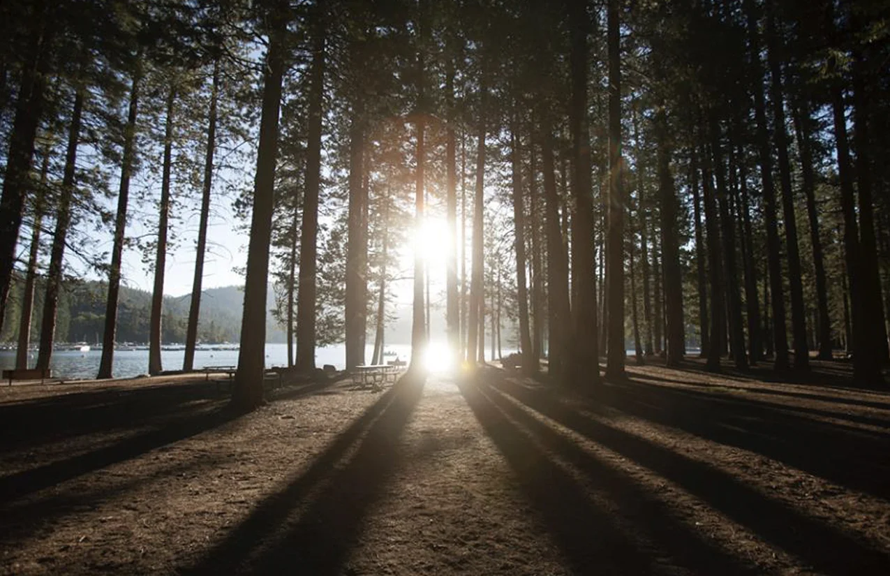 Summer Retreat at Pinecrest Lake 2018