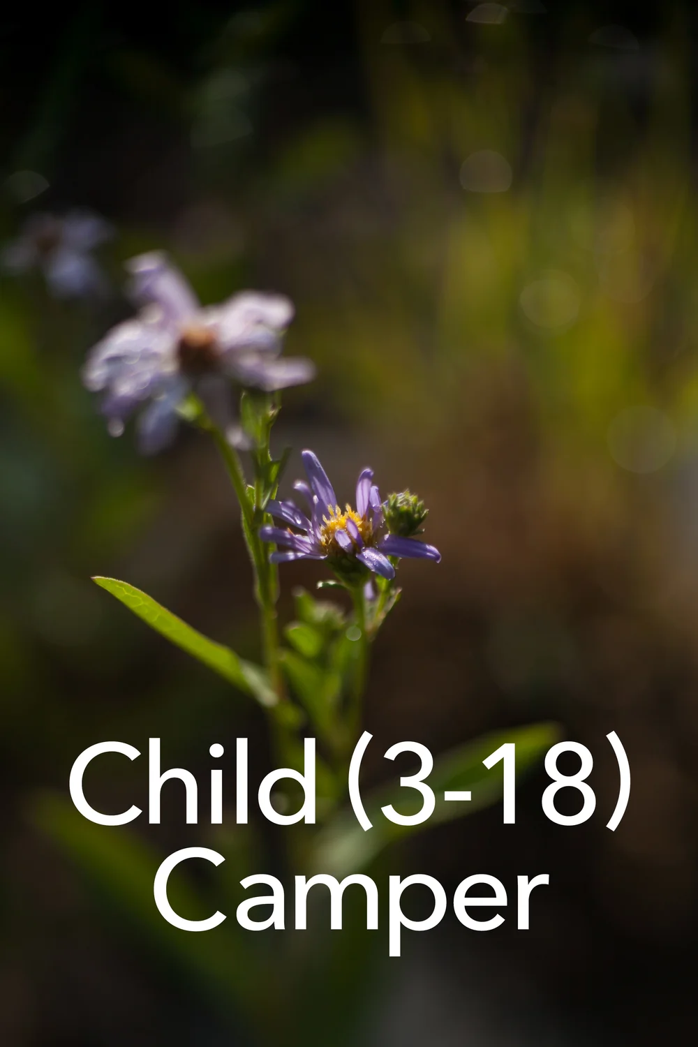 Child Camper.jpg