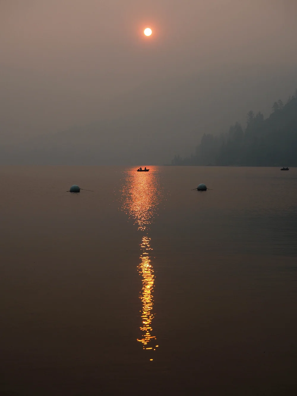 P7180486_LR_q60.jpg