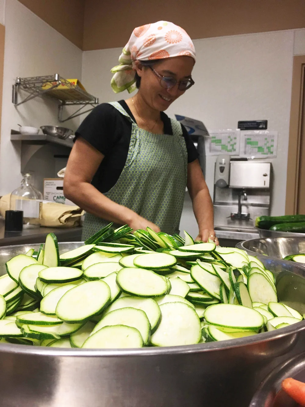 Macrobiotic Summer Conference 2018
