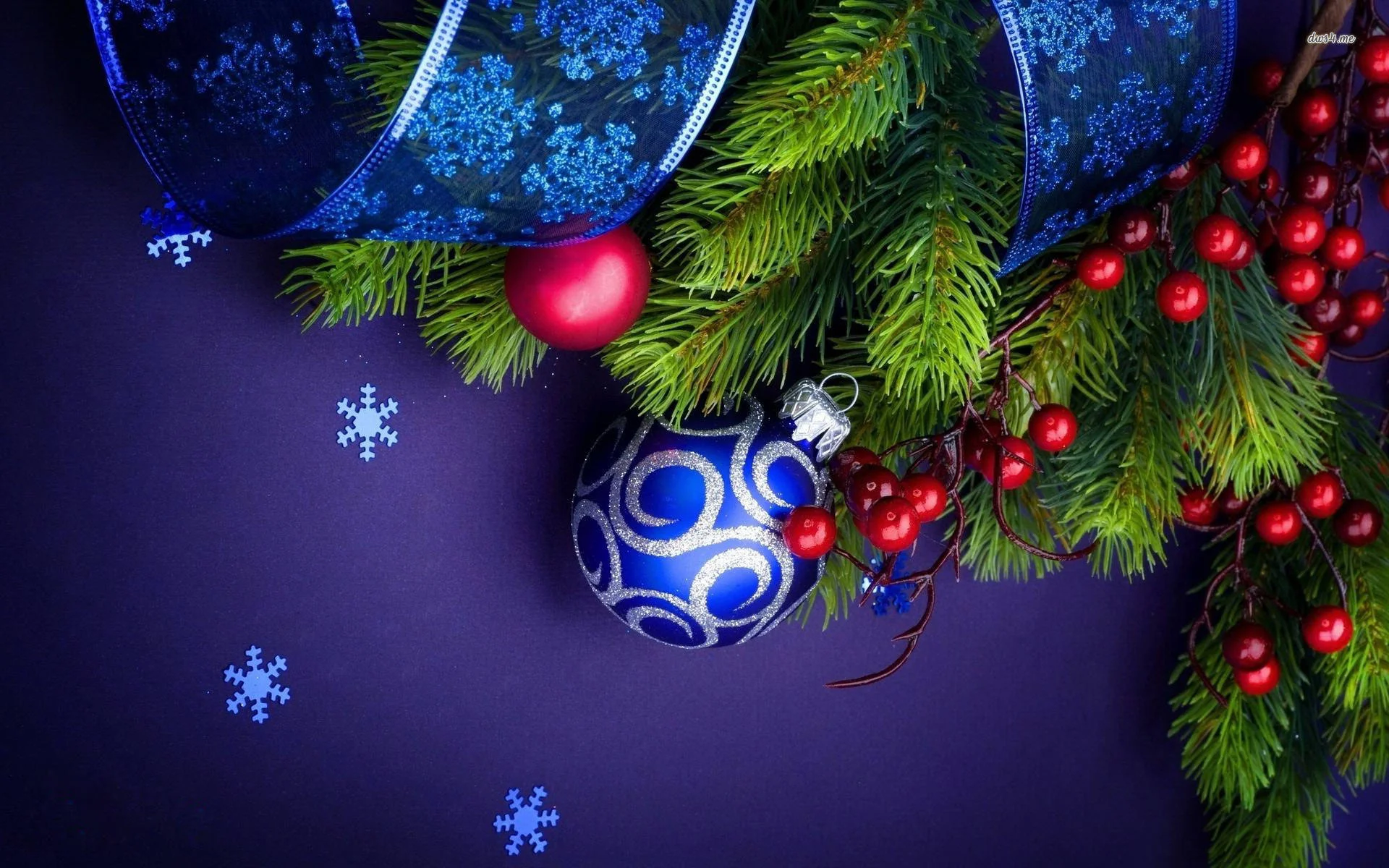 Naturally Healthy Holiday Fundraiser Dinner & Gala